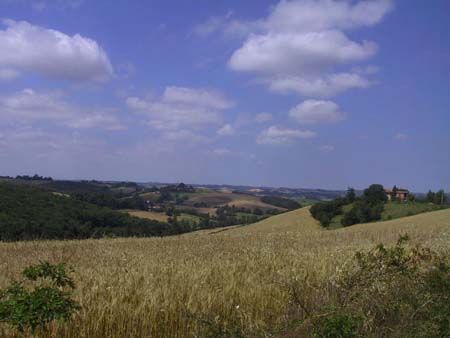 Paysage7.JPG