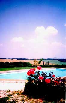 Rosiers, Garden, swimming pool,rosebushes